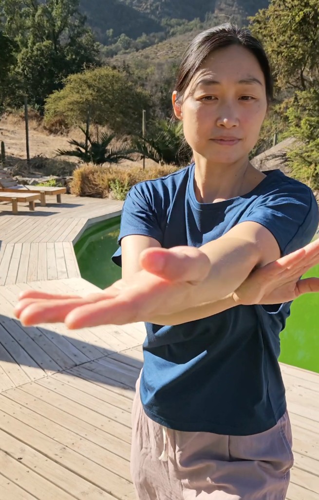 Serok Park en una forma de Baguazhang